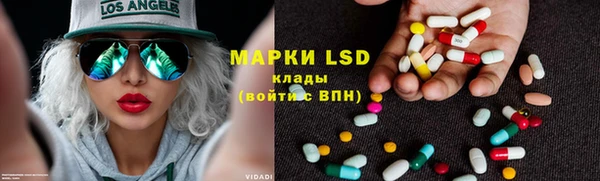 ПСИЛОЦИБИНОВЫЕ ГРИБЫ Алзамай
